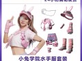 绝地求生小兔：全新玩法体验-绝地求生小兔最新版本玩法介绍