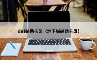 dnf辅助卡盟（地下城辅助卡盟）