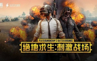 绝地求生刺激战场海外版攻略大全-如何在绝地求生刺激战场海外版中快速上分