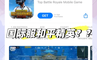 绝地求生PUBG国际服手游下载，全球玩家都在玩-PUBG国际服手游攻略：新手必看的入门技巧