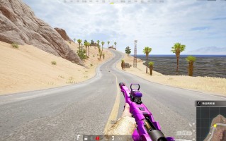 PUBG国际服：全球玩家的竞技舞台-PUBG国际服最新版本玩法与赛事攻略