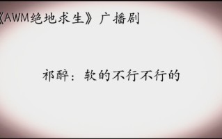 AWM绝地求生soso花落番外：游戏攻略与技巧-AWM绝地求生soso花落番外剧情解析