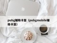pubg辅助卡盟（pubgmobile辅助卡盟）