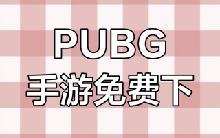 绝地求生国际服登录手机版教程-如何在手机上登录绝地求生国际服详细步骤