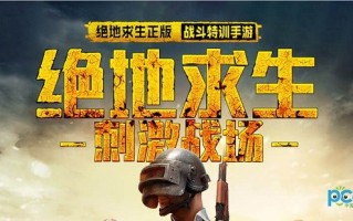 绝地求生刺激战场国际服攻略：快速上分秘籍-如何在绝地求生刺激战场国际服中成为高手