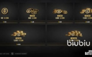PUBG充值指南-详细PUBG充值步骤