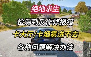 绝地求生维护更新与玩家体验-绝地求生维护期间的服务器状态与修复进度