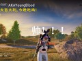 绝地求生之最强天王：游戏新巅峰-绝地求生之最强天王玩法攻略与技巧分享