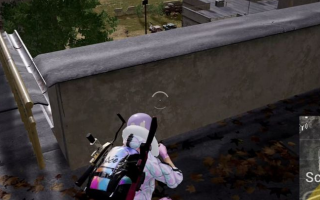 绝地求生国服2024最新玩法与更新-绝地求生国服2024版本更新内容与玩家体验