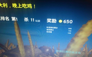 绝地求生尼古拉改名全攻略-绝地求生尼古拉改名原因及影响分析