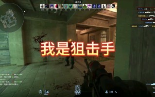 绝地求生之爆头就变强：游戏技巧提升攻略-如何在绝地求生中通过爆头提高战斗力