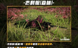 绝地求生最新更新公告：新内容来袭-绝地求生游戏更新公告详解：版本变化与玩家反馈