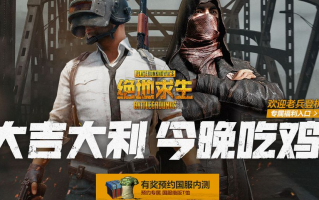 绝地求生国服版：全新玩法与体验-绝地求生国服版最新版本游戏评测与攻略