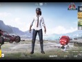 绝地求生刺激战场国际服体验服玩法攻略-绝地求生刺激战场国际服体验服新手入门指南
