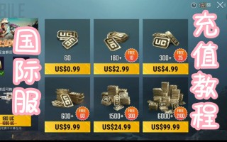 PUBG游戏充值指南-如何在PUBG中高效充值