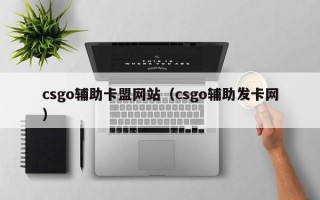 csgo辅助卡盟网站（csgo辅助发卡网）