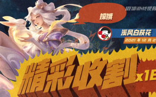 绝地求生之王者巅峰菠萝影攻略-如何在绝地求生中成为菠萝影高手