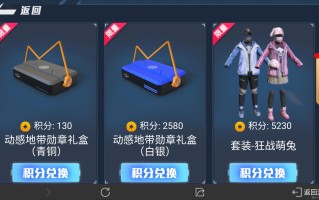 《绝地求生》卡盟已购卡密使用指南-《绝地求生》卡盟购卡密后的详细使用步骤