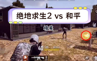PUBG与和平精英：同根不同枝-深度解析PUBG与和平精英之间的关系