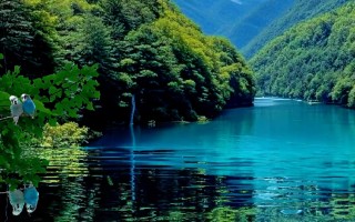 绝地求生国际服绿色国旗下载与玩法攻略-如何在游戏中正确使用绝地求生国际服绿色国旗
