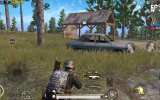 绝地求生刺激战场免登录版玩法介绍-绝地求生刺激战场免登录版下载与体验指南