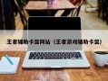 王者辅助卡盟网站（王者游戏辅助卡盟）