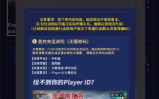 绝地求生国际服在哪里充值？官方充值渠道详解-绝地求生国际服充值教程及注意事项