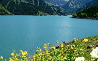 绝地求生小说排行榜前十名-最新绝地求生题材小说推荐榜单