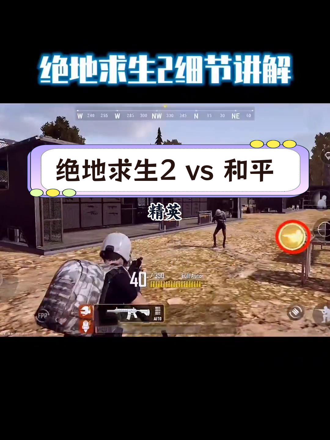 PUBG与和平精英:同根不同枝-深度解析PUBG与和平精英之间的关系 PUBG与和平精英:同根不同枝-深度解析PUBG与和平精英之间的关系