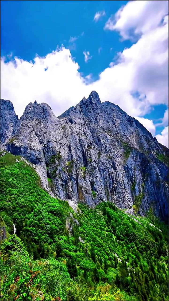 绝地求生之狙神传说：巅峰对决-绝地求生狙神传说攻略与高手技巧分享