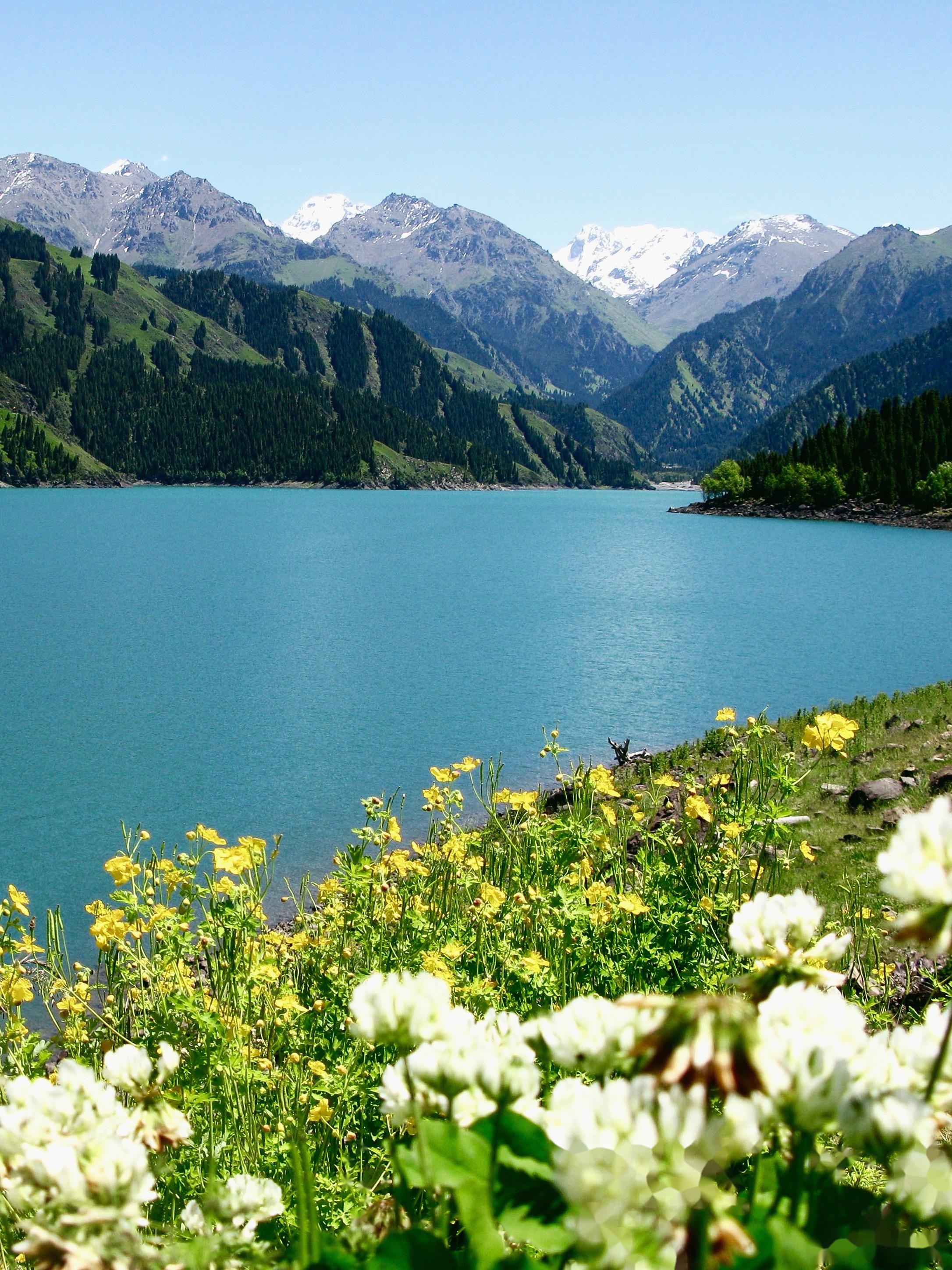 绝地求生小说排行榜前十名-最新绝地求生题材小说推荐榜单 绝地求生小说排行榜前十名-最新绝地求生题材小说推荐榜单
