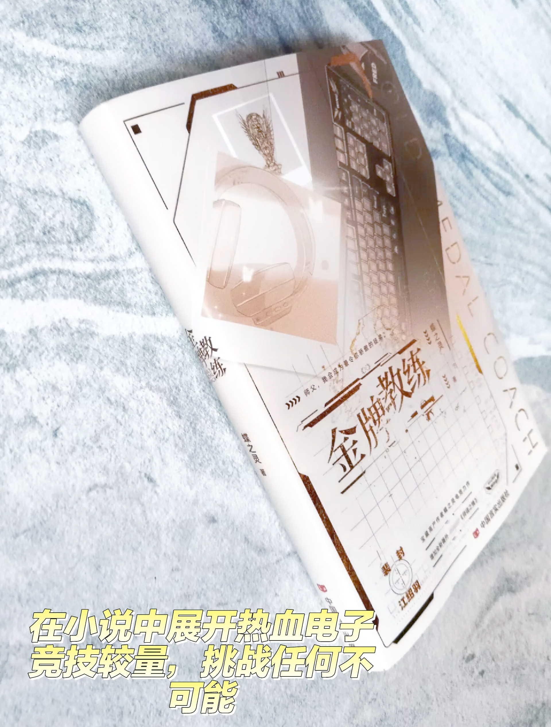 绝地求生电竞小说：热血与策略的完美结合-绝地求生电竞小说推荐与剧情解析