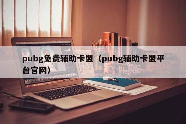 pubg免费辅助卡盟（pubg辅助卡盟平台官网）