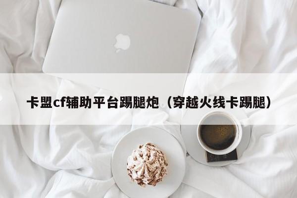 卡盟cf辅助平台踢腿炮（穿越火线卡踢腿）