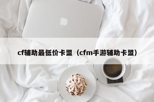 cf辅助最低价卡盟（cfm手游辅助卡盟）
