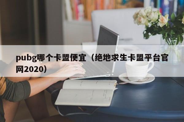 pubg哪个卡盟便宜（绝地求生卡盟平台官网2020）