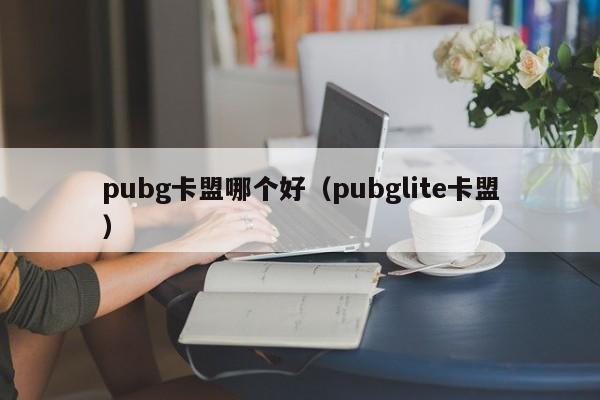 pubg卡盟哪个好（pubglite卡盟）