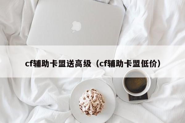 cf辅助卡盟送高级（cf辅助卡盟低价）