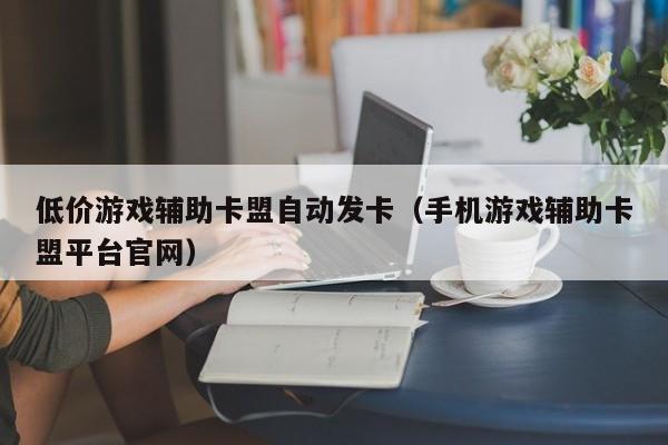 低价游戏辅助卡盟自动发卡（手机游戏辅助卡盟平台官网）