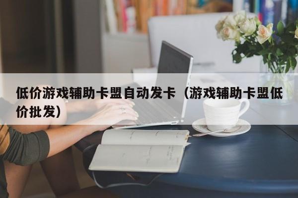 低价游戏辅助卡盟自动发卡（游戏辅助卡盟低价批发）