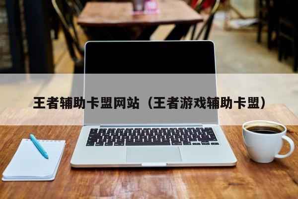 王者辅助卡盟网站（王者游戏辅助卡盟）