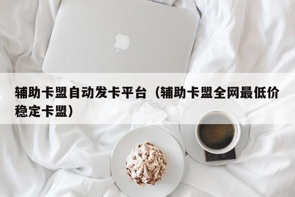 辅助卡盟自动发卡平台（辅助卡盟全网最低价稳定卡盟）