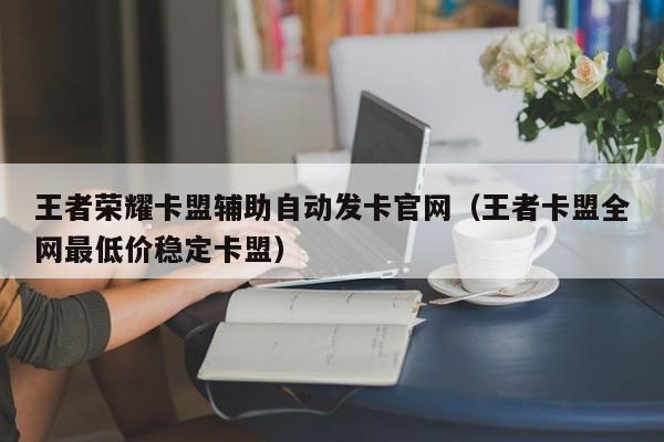 王者荣耀卡盟辅助自动发卡官网（王者卡盟全网最低价稳定卡盟）