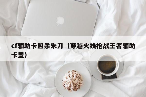 cf辅助卡盟杀朱刀（穿越火线枪战王者辅助卡盟）