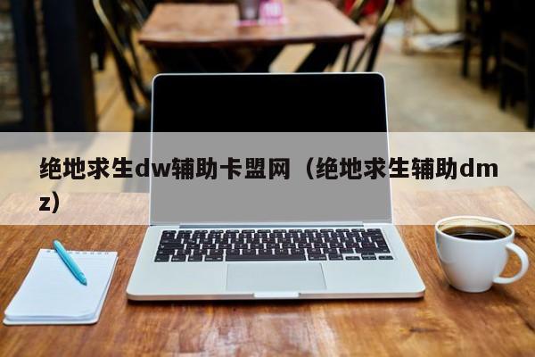绝地求生dw辅助卡盟网（绝地求生辅助dmz）
