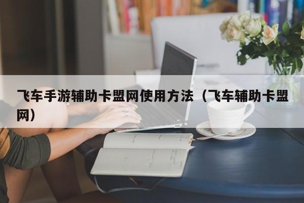 飞车手游辅助卡盟网使用方法（飞车辅助卡盟网）