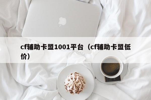 cf辅助卡盟1001平台（cf辅助卡盟低价）