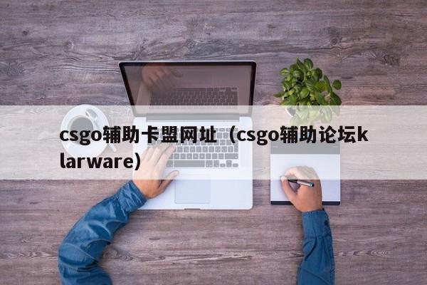 csgo辅助卡盟网址（csgo辅助论坛klarware）