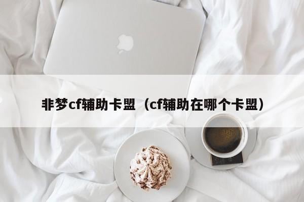 非梦cf辅助卡盟（cf辅助在哪个卡盟）