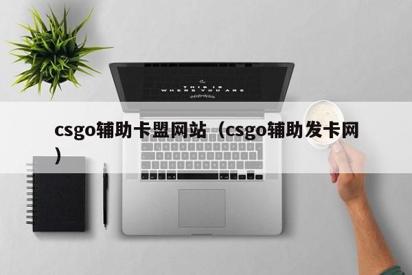 csgo辅助卡盟网站（csgo辅助发卡网）